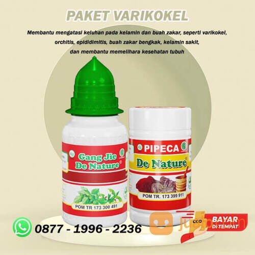 Obat turun berok paling ampuh varikokel hernia herbal obat usus turun obat hidrokel paling ampuh
