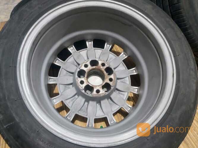 KUKU MACAN MERCY R16 | ORIGINAL