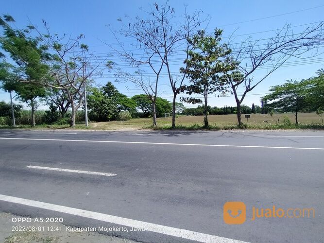 Tanah View Lapangan Bola Bangsal Mojokerto