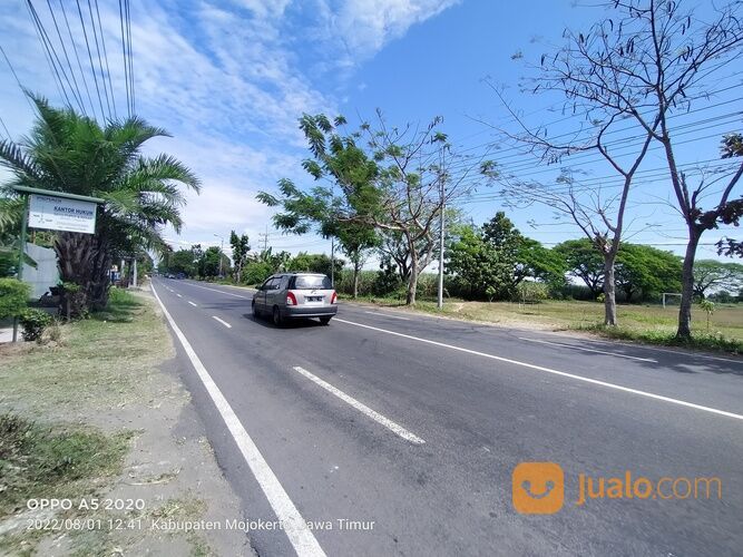 Tanah View Lapangan Bola Bangsal Mojokerto