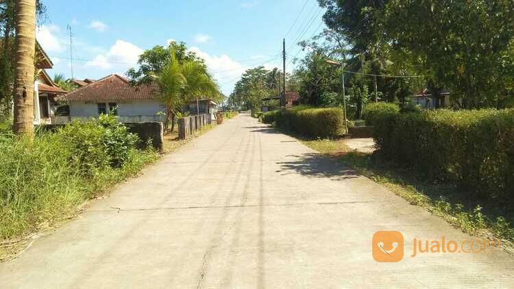 Kavling Cengkawakrejo, Timur Jalan Nasional 3, Akses Mudah Pusat Kota Purworejo