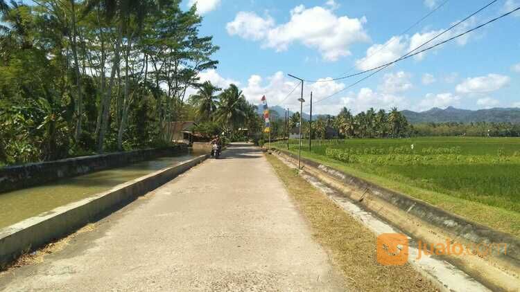 Kavling Cengkawakrejo, Timur Jalan Nasional 3, Akses Mudah Pusat Kota Purworejo