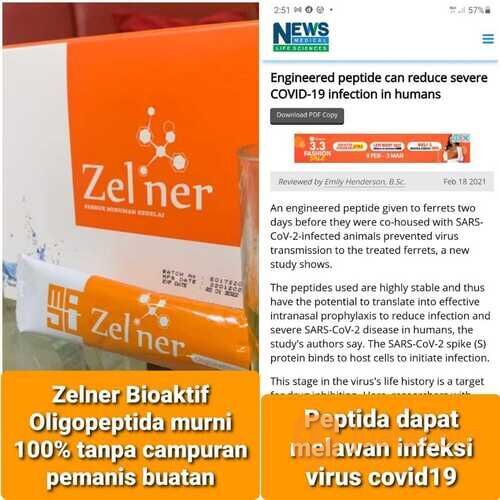 MAGIC LIFE ZELNER OLIGOPEPTIDE RESMI ORIGINAL!