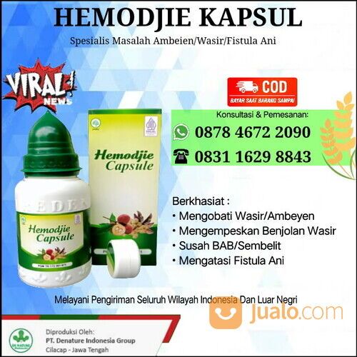 Obat HEMODJIE Extrak Daun Ungu Untuk Mengobati Fistula Ani, Wasir Ambien