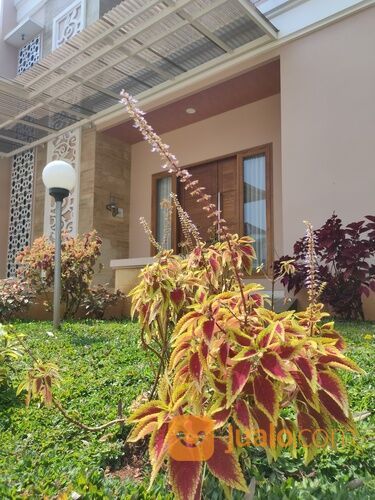 The Royal Calista, Perumahan Elit Kawasan Industri Batang