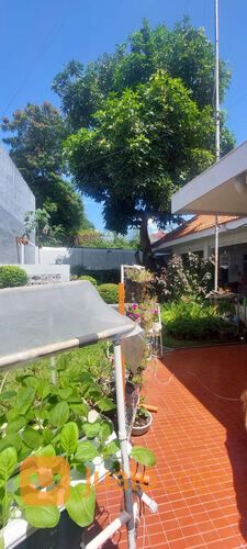 Rumah Jl. Kapuas, Surabaya Pusat (code : DND)