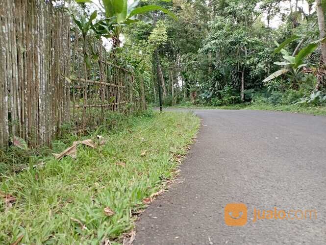 Tanah Sukabumi - Nagrag, Murah 450 Ribu Per meter, Dekat Pasar Cibadak