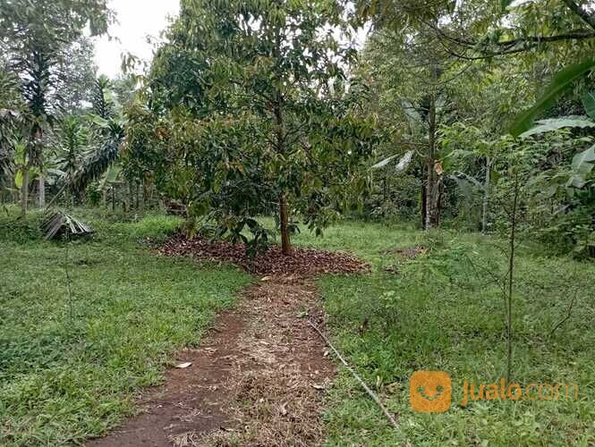 Tanah Sukabumi - Nagrag, Murah 450 Ribu Per meter, Dekat Pasar Cibadak