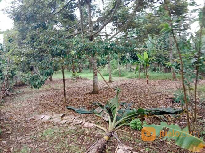 Tanah Sukabumi - Nagrag, Murah 450 Ribu Per meter, Dekat Pasar Cibadak