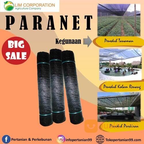 Ready Paranet Dragon 65% Hitam Lokal