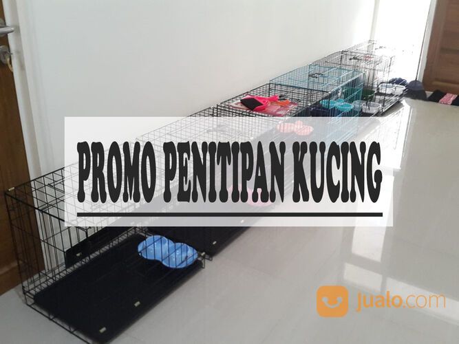 Penitipan / Penginapan Kucing Surabaya PROMO