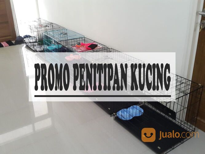 Penitipan / Penginapan Kucing Surabaya Timur PROMO