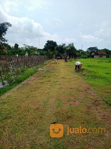 Tanah 50 Juta-an di Klaten, Siap AJB