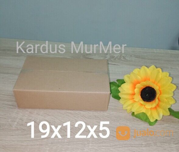 Kardus packing box dus