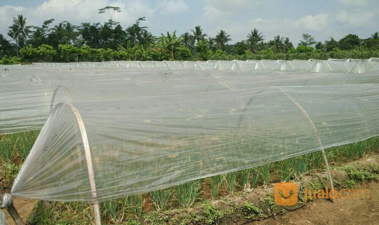 Plastik Sungkup Tanaman Bahan Original Termurah