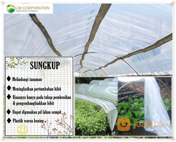 Plastik Sungkup Original Untuk Melindungi Tanaman Bahan Berkualitas!