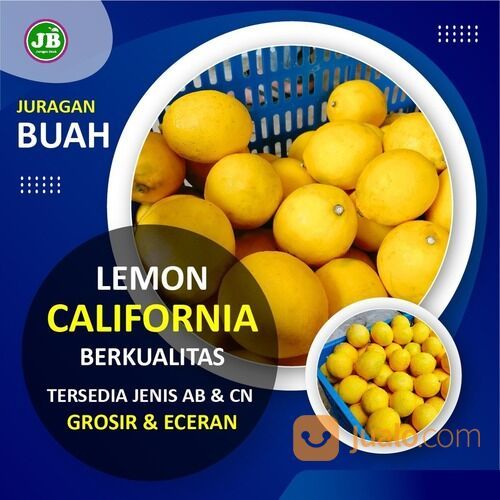 JERUK LEMON CALIFORNIA GROSIR DAN ECERAN