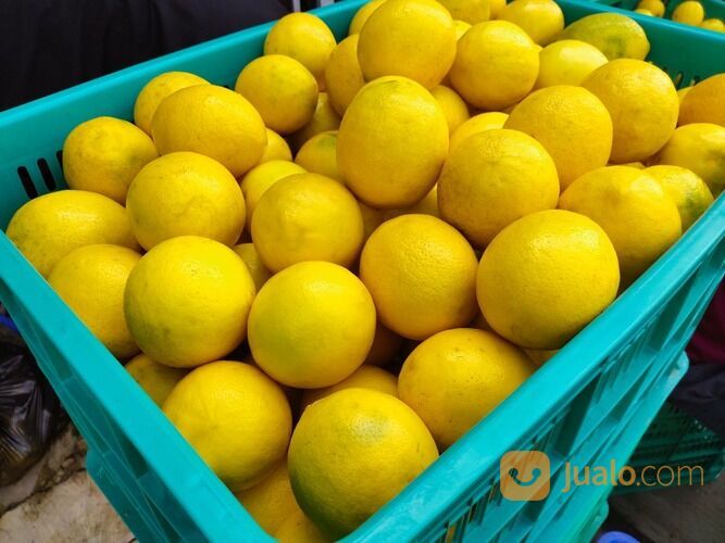 JERUK LEMON CALIFORNIA GROSIR DAN ECERAN