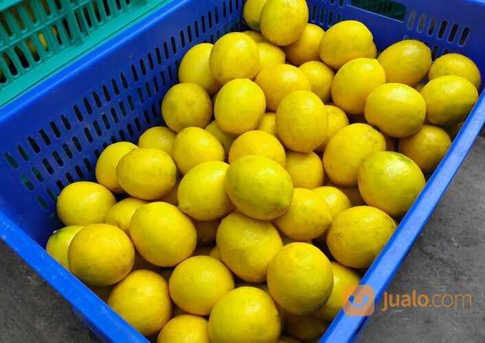 JERUK LEMON CALIFORNIA GROSIR DAN ECERAN