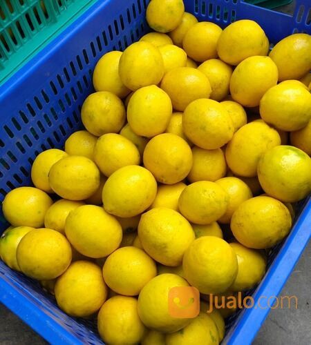 JERUK LEMON CALIFORNIA GROSIR DAN ECERAN