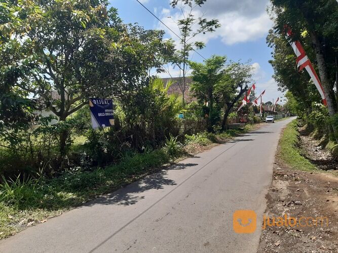 Tanah di Kelurahan Wirolegi, Jember