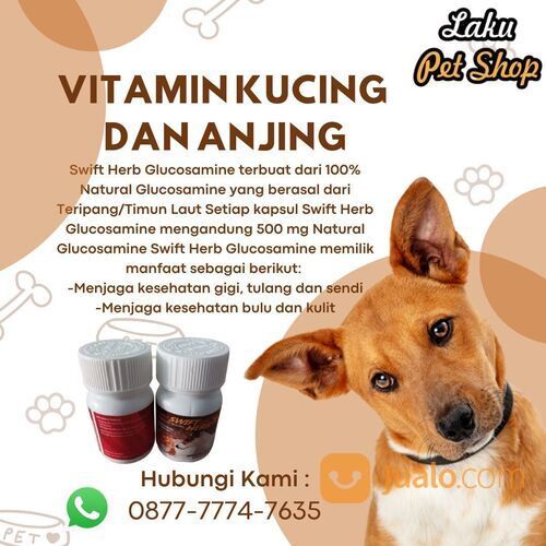 Suplemen Kucing dan Anjing Swift Herb Terbagusss