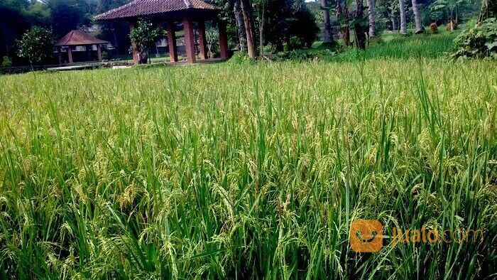 Paket Wisata Edukasi Bogor