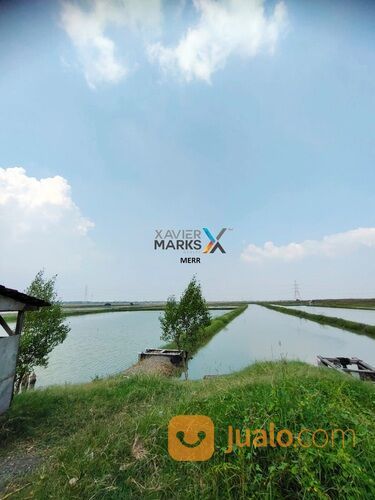 Tanah Tambak Daerah Benowo Murah Strategis