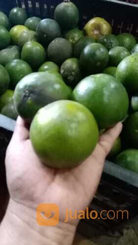 BUAH JERUK PERAS JAWA PREMIUM