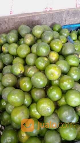 BUAH JERUK PERAS JAWA PREMIUM