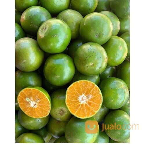 BUAH JERUK PERAS JAWA PREMIUM