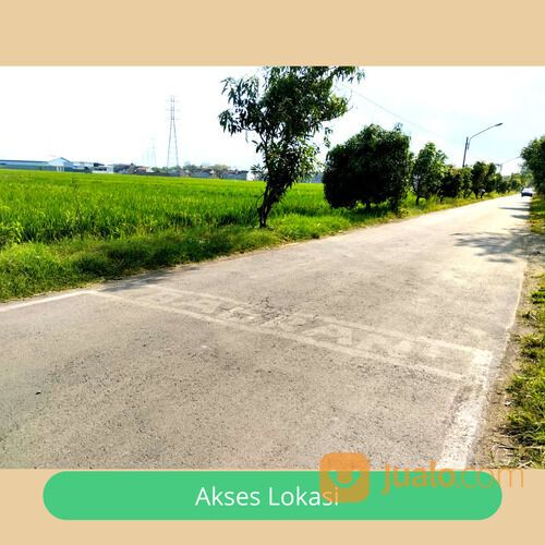 Tanah Solo Dekat SPBU Semanggi 1 Jt -an