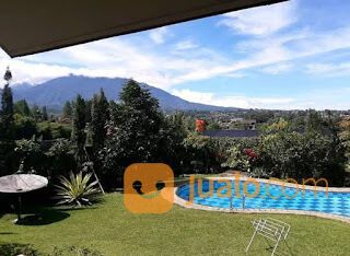 Villa puncak cisarua, sewa villa di cisarua, villa puncak murah, villa,