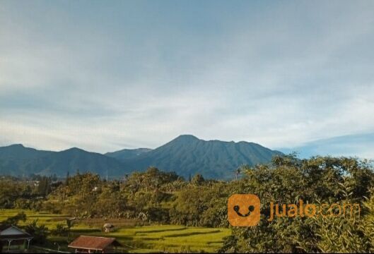 Villa puncak cisarua, sewa villa di cisarua, villa puncak murah, villa,