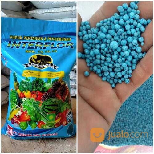 Distributor pupuk murah di surabaya
