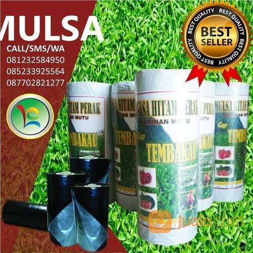 Sedia Mulsa Plastik Tembakau, Harga Ekonomis!