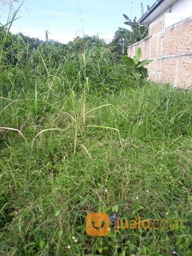 Tanah Lt.235 M2, Air Camar, Parak Gadang Timur, Dekat Kantor Lurah Parak Gadang Timur, Sisp Bangun