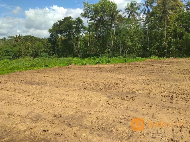 3 Km Alun-Alun Kajen Pekalongan: 80 Jt-an, Kavling Perumahan