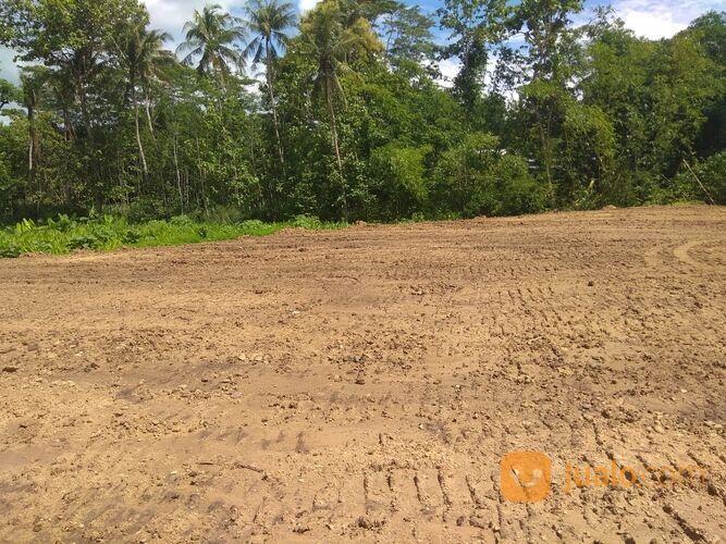 3 Km Alun-Alun Kajen Pekalongan: 80 Jt-an, Kavling Perumahan