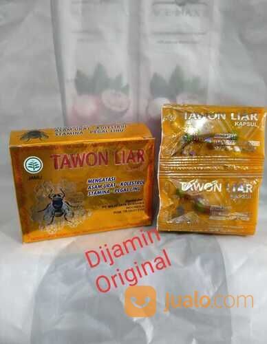 OBAT HERBAL TAWON LIAR BPOM||KAPSUL TAWON LIAR ASLI 100%