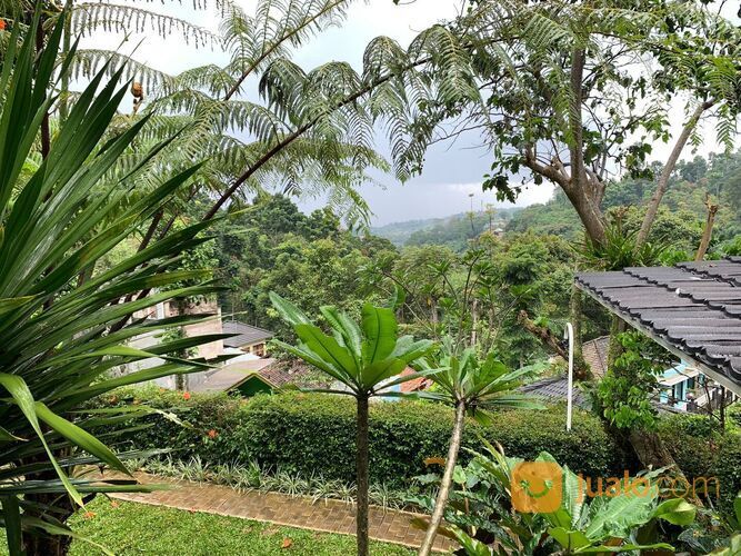 MANTAV BOSS Rumah Villa Dago Giri DKT Lembang & Cigadung Bandung