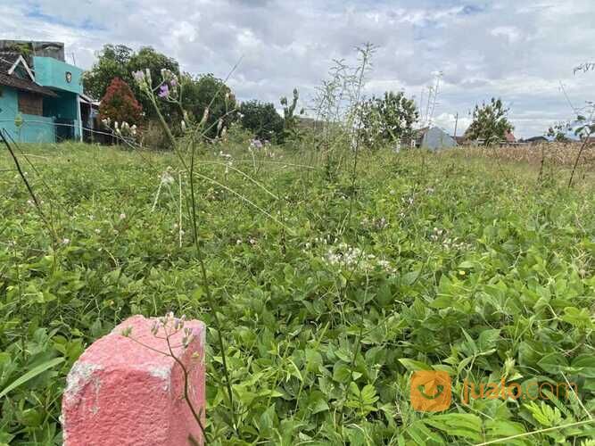 Rumah Minimalis di Kalikotes, Harga Subsidi, Kualitas Premium