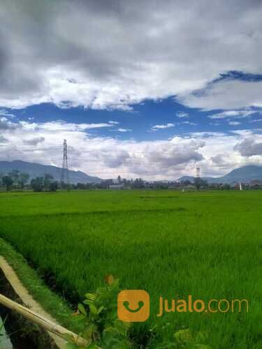 Tanah Sawah di Rancaekek dekat Cicalengka Jatinangor