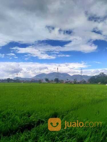 Tanah Sawah di Rancaekek dekat Cicalengka Jatinangor