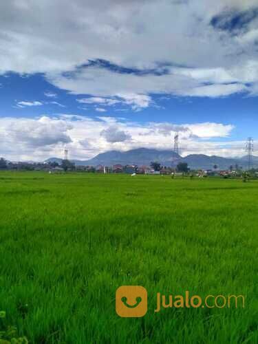 Tanah Sawah di Rancaekek dekat Cicalengka Jatinangor