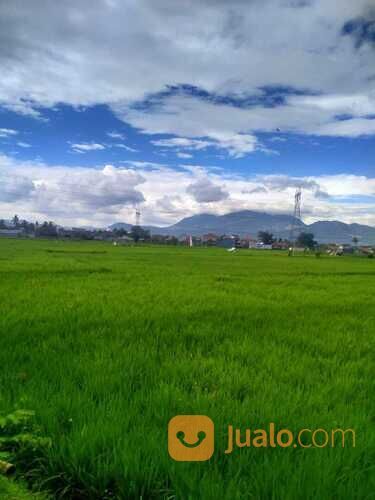 Tanah Sawah di Rancaekek dekat Cicalengka Jatinangor
