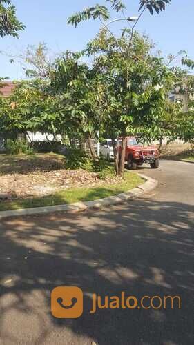 Tanah Kavling Deltamas Cikarang Cluster Caribbean Luas 256 Rp. 4 Jt /Meter SHGB