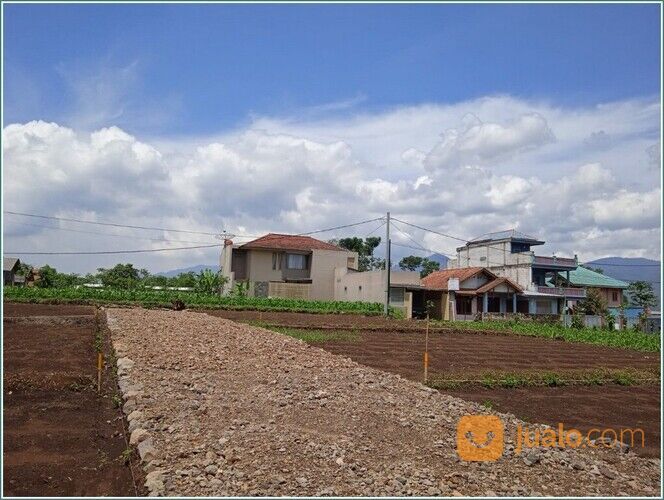 Tanah Condong Catur 3 Jt-an/m Tepi Jalan Aspal