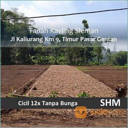 Tanah Condong Catur 3 Jt-an/m Tepi Jalan Aspal