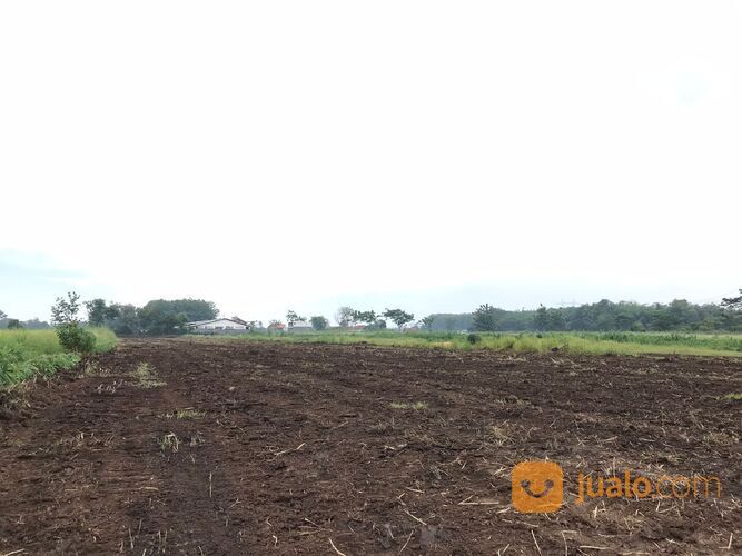 6 Menit ke Tol Cigombong, 1Jt-an Per meter, Kavling View Gunung Salak